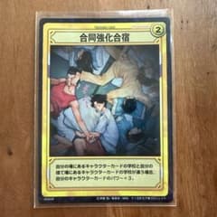 合同強化合宿 20063R 越前リョーマ 菊丸英二 テニスの王子様 - メルカリ