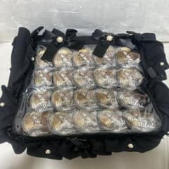 痛バック 進撃の巨人 アルミン・アルレルト - メルカリ