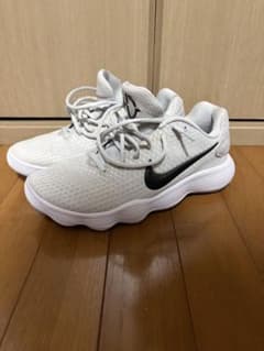 Nike ハイパーダンク　2017 low EPのサムネイル