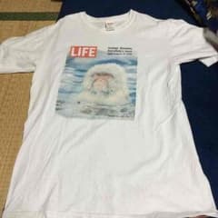 ロッキー様専用！ セール ユナイテッドアローズ Tシャツのサムネイル