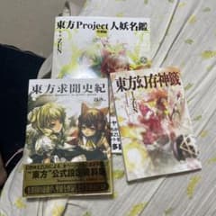 東方Project 設定資料集 3冊セット ZUN - メルカリ