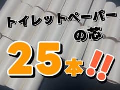 トイレットペーパーの芯 25本セットのサムネイル