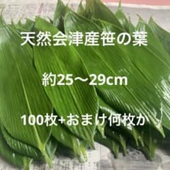 天然会津産笹の葉 100枚+おまけのサムネイル