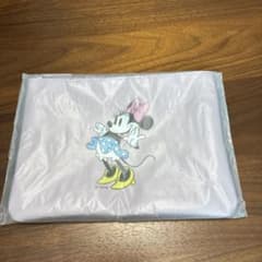 ディズニーストア　ミニーマウスフラットポーチ　新品未使用のサムネイル