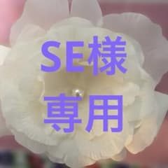 ミニチュアスロット　吉宗　２点セットのサムネイル