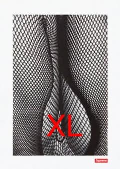 supreme シュプリーム  tシャツ   XLのサムネイル