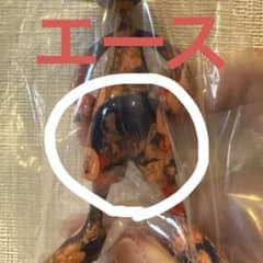 에이스 루피즈 LUFFY's 마린포드 정상 전쟁 원피스