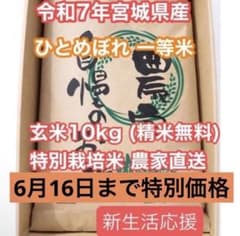 新生活応援令和7年産宮城県ひとめぼれ玄米10kg 精米無料 特別栽培米 一等米のサムネイル