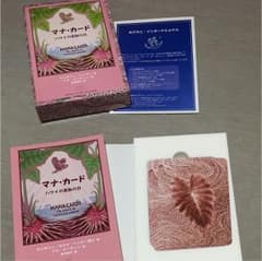 マナカード ハワイ 占い スピリチュアルのサムネイル