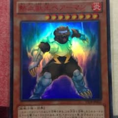 熱血獣王ベアーマンのサムネイル