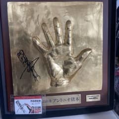 m46495484584_1.jpg?1737462323