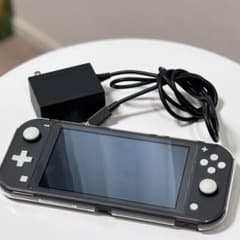 Nintendo Switch Lite グレー ケース付きのサムネイル