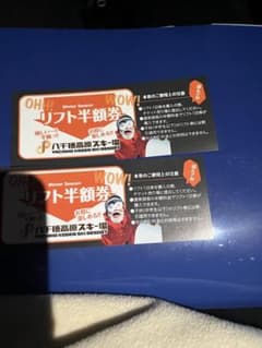八千穂高原スキー場　1日リフト券半額券×2枚のサムネイル