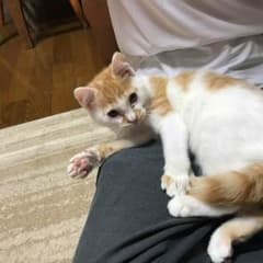 ばけさん専用のサムネイル