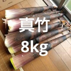 千葉県、採り立て、真竹のサムネイル