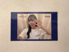 ブラインドステッカー／diana2025のサムネイル