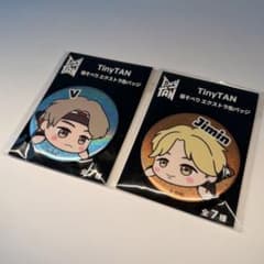 【新品未使用】TinyTAN 寝そべり エクストラ缶バッジ V Jiminのサムネイル
