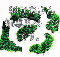 88かあさん様専用ページです。のサムネイル