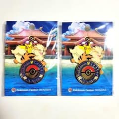 ポケモンセンターオキナワ限定 ピカチュウ＆ウインディ ピンバッジ 2個