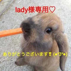 lady様専用♡のサムネイル