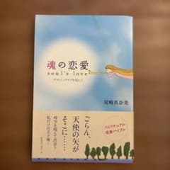 魂の恋愛 : プラトニックラブを超えてのサムネイル