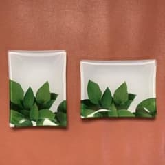 ORBIS ガラスペアプレート 植物のある生活 2枚セットのサムネイル