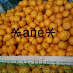 ＊ane＊様 専用 上ノ太子みかん園のみかんのサムネイル