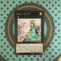 森羅の姫芽宮のサムネイル