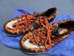 LUNARSPIDER R4(ルナスパイダー R4)のサムネイル