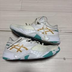 アンプレアルスロー26.5 (値下げ可)即日発送のサムネイル