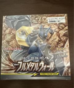 フルメタルウォールbox シュリンク付きのサムネイル
