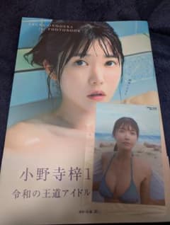 特典付き 小野寺梓 1st写真集 偶像に生きるのサムネイル