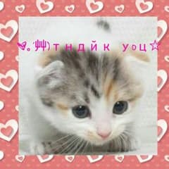専用ページのサムネイル