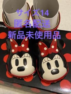 【専用です】DIANA キッズ　ディズニーコラボ　レインブーツのサムネイル