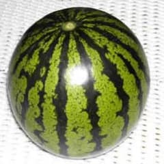 専用のサムネイル