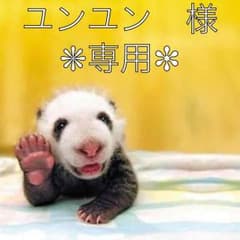 コムサイズム　ショーパンのサムネイル