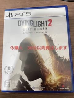 ダイイングライト2 ステイヒューマンのサムネイル