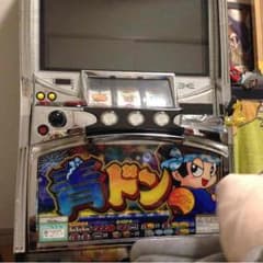 青ドンのサムネイル