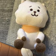 BT21 RJ 니트 플러시