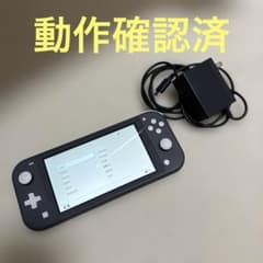 Nintendo Switch Lite 本体 グレー 動作確認済み 充電器あり - メルカリ