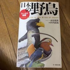 日本の野鳥 フィールド図鑑のサムネイル