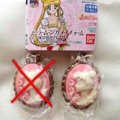 セーラームーンカメオチャームのサムネイル