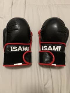 イサミ　パウンドグローブ　総合格闘技　MMAのサムネイル