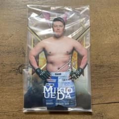 RIZIN 이치 반 쿠지 우에다 간오