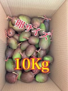 大容量10Kg 青マンゴー（摘果マンゴー）沖縄産 Green Mango - メルカリ