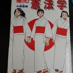 痛快!憲法学 : アメージング・スタディのサムネイル