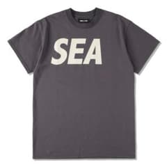 最終値下げ‼️美品•希少【WIND AND SEA】定番ロゴT チャコールLのサムネイル