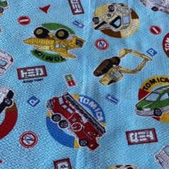 リップル生地　ハギレ2枚のサムネイル