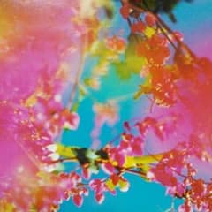 miii様  専用♡ジバンシー♡香水のサムネイル