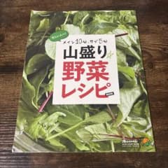 山盛り野菜レシピBOOK オレンジページ特別付録のサムネイル